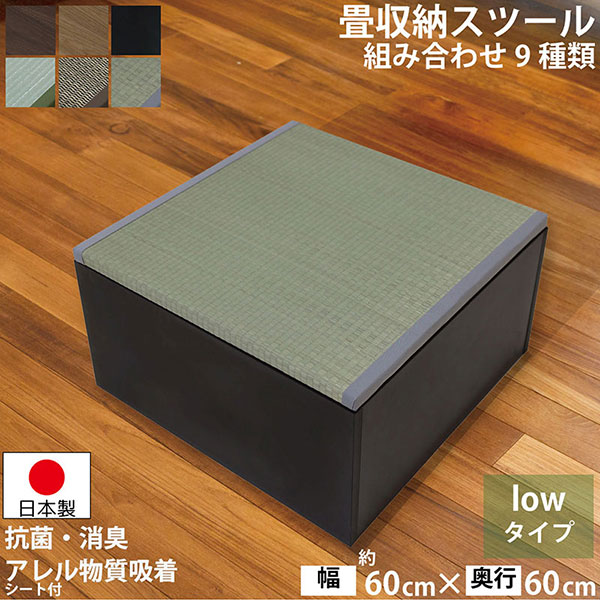 送料無料】快適健康生活！畳収納ボックス ロータイプ 樹脂製 60x60x32 BK - インテリアカタオカ